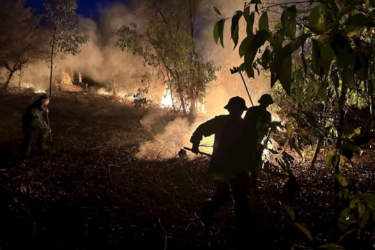 TP Huế: Cháy rừng khi đốt thực bì, một người tử vong