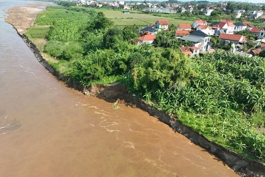 Phú Thọ: Thông tin vỡ đê Hữu Thao là không chính xác