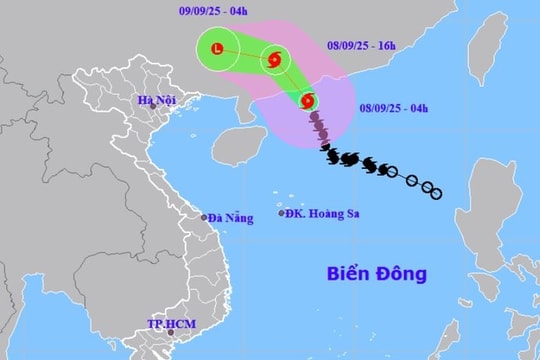 Quảng Ninh tạm ngừng cấp phép tàu thuyền ra khơi để phòng ngừa bão số 7