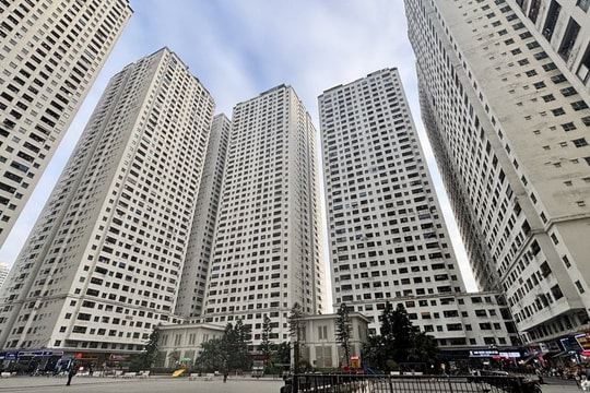 Nhiều “ông lớn” bất động sản bất ngờ tái xuất