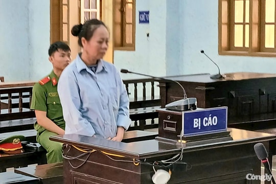 Lừa đảo hơn 4,6 tỷ đồng để tiêu xài và trả nợ