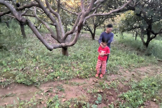 Đối tượng cướp giật sợi dây chuyền vàng của cháu bé chăn bò sa lưới