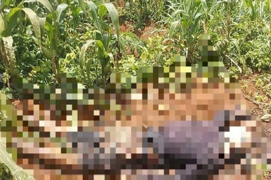 Phát hiện thi thể nam giới trong tình trạng phân hủy