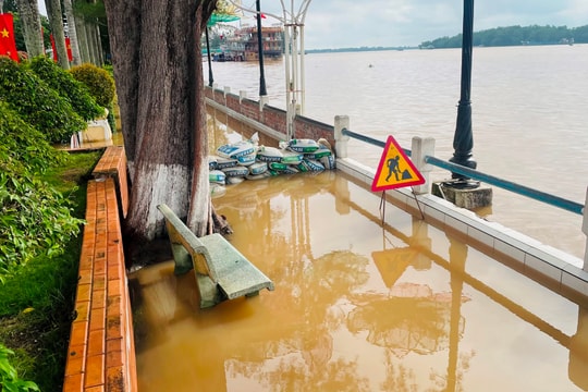 Cần Thơ: Triều cường vượt mức báo động 3