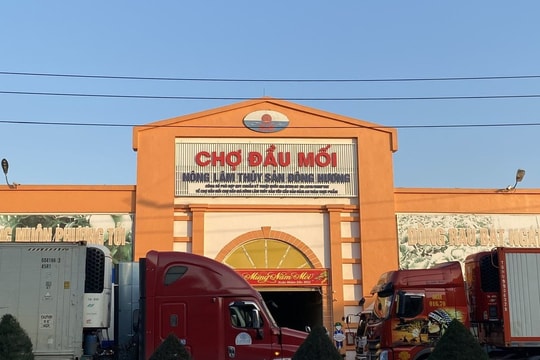 Khởi tố Giám đốc Công ty cổ phần đầu tư và xây dựng Bình Minh