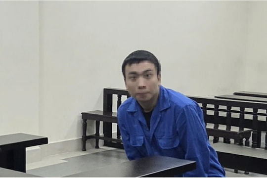 21 năm tù cho cựu nhân viên dùng chiêu trò chiếm đoạt hàng tỷ đồng