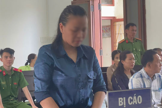 Lừa góp tiền mua bán đất, chiếm đoạt hơn 8 tỷ đồng