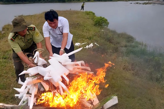 Huế tăng cường tháo gỡ bẫy, bảo vệ chim hoang dã mùa di cư