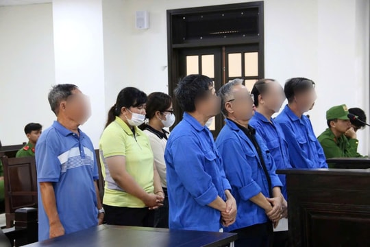 Cựu Giám đốc Trung tâm Kỹ thuật tài nguyên môi trường lĩnh hơn 20 năm tù