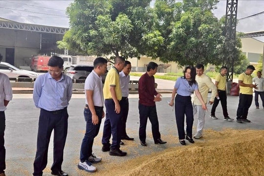 PVCFC mở rộng thị phần tại Campuchia, cùng nông dân nâng cao giá trị hạt gạo
