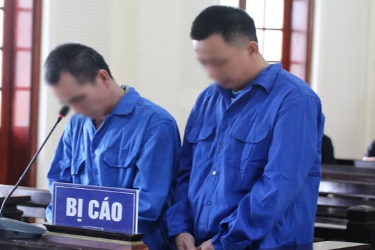 Ngựa quen đường cũ khi được tại ngoại lừa đảo “chạy án”