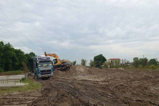 Khởi tố một giám đốc công ty về tội gây ô nhiễm môi trường