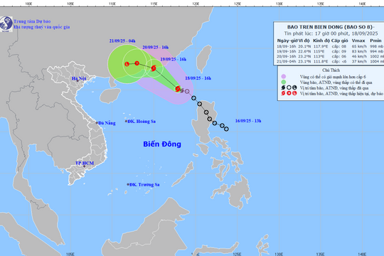 Bão số 8 giật cấp 11 trên Biển Đông, cảnh báo mưa lớn và gió mạnh