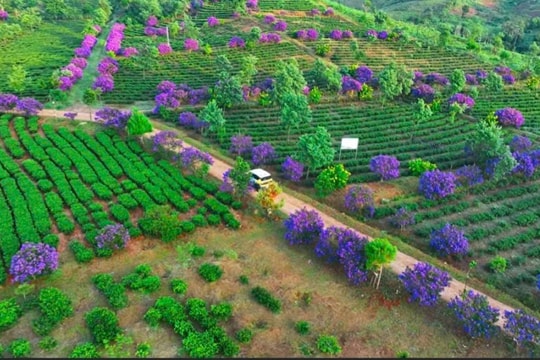 Đưa Kon Plông trở thành xã du lịch lý tưởng, hút khách