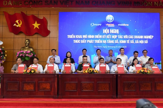 Tây Ninh hợp tác phát triển 3 trụ cột chuyển đổi số