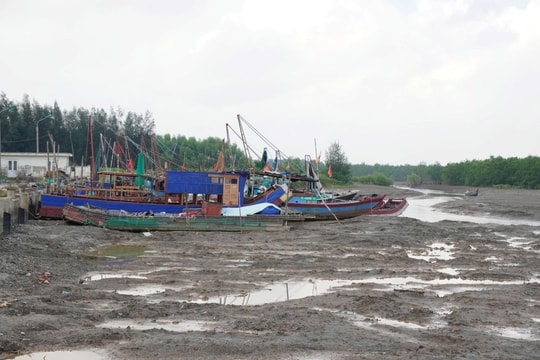Những tiếng thở dài ở Cảng cá Hoằng Phụ