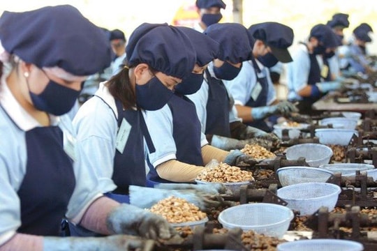 Doanh nghiệp Việt gia tăng hiện diện tại UAE