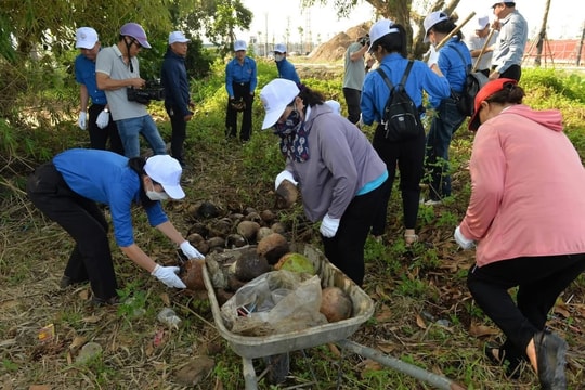 Hải Phòng ra quân hưởng ứng chiến dịch làm cho thế giới sạch hơn