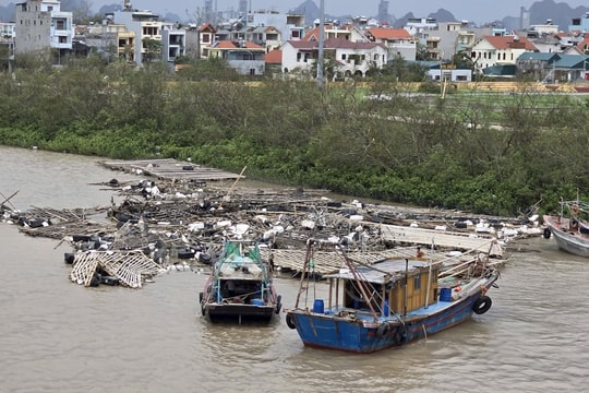 Hải Phòng chủ động ứng phó siêu bão Ragasa đổ bộ vào đất liền
