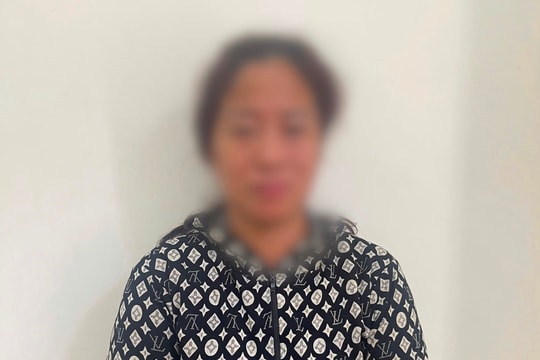 Bắt nhanh đối tượng nhiều lần trộm cắp tài sản