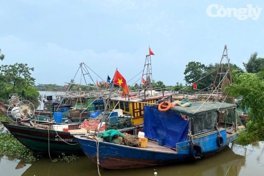Ninh Bình chủ động ứng phó với bão RAGASA