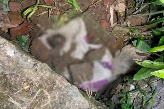 Bàng hoàng phát hiện thi thể một bé gái trong bao tải