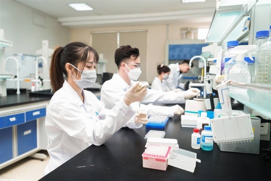 Hải Phòng thúc đẩy khoa học công nghệ, đổi mới sáng tạo và chuyển đổi số.