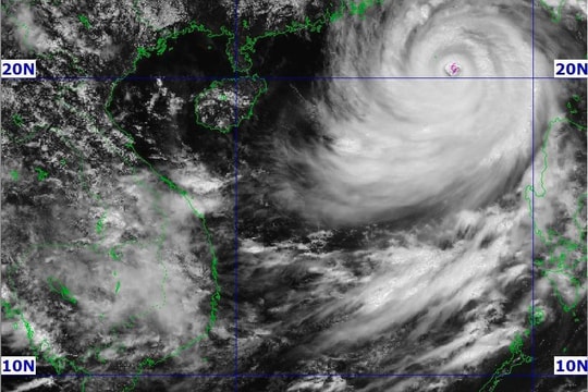 Hải Phòng triển khai các phương án phòng, chống siêu bão Ragasa