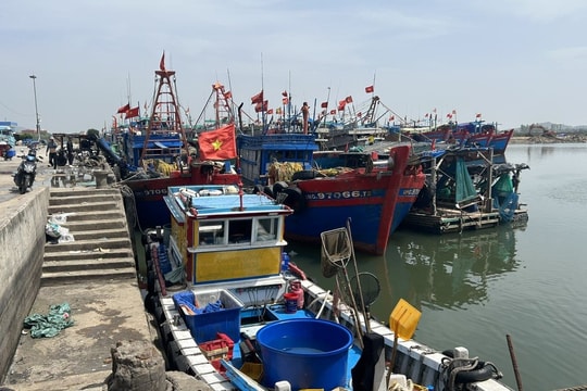 Tàu, thuyền gấp rút vào bờ tránh, trú bão Ragasa