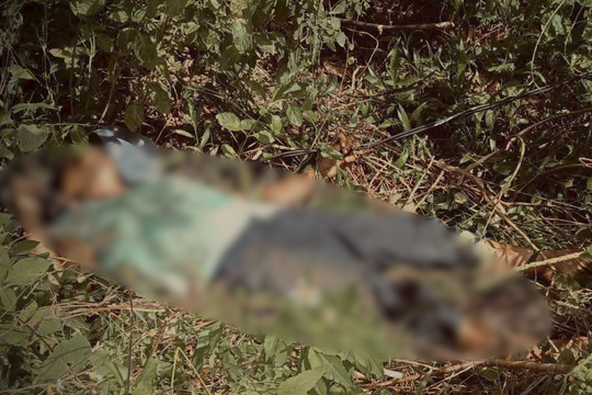 Đi chăn bò, người phụ nữ bị điện giật tử vong thương tâm