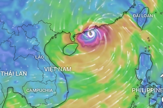 Hải Phòng chuẩn bị  kịch bản phòng, chống siêu bão Ragasa