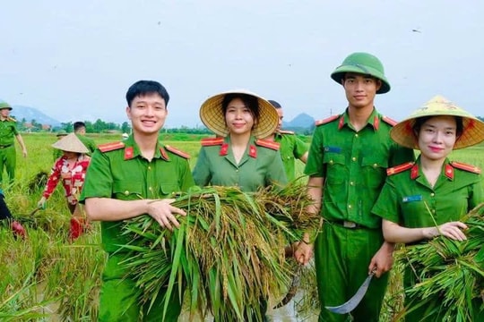 Công an Thanh Hóa gặt lúa giúp dân tránh bão