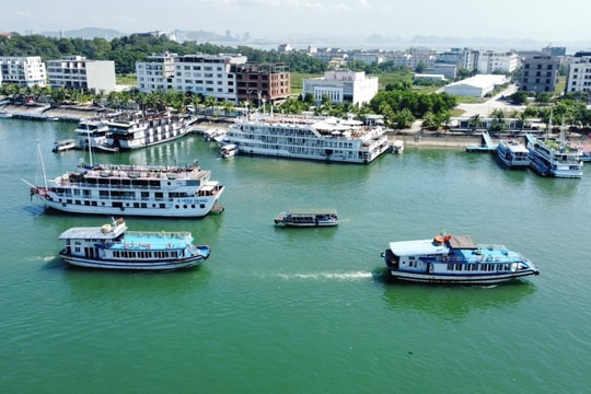 Quảng Ninh tạm ngừng cấp phép tàu ra khơi để phòng chống bão số 9 Ragasa