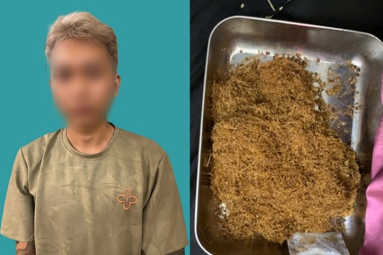 Quyết liệt chặn đứng ma túy trá hình mang tên ‘Tobacco’