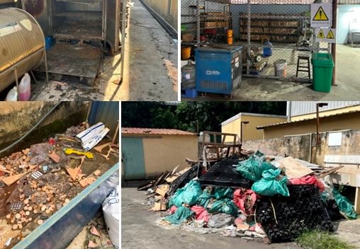 Hải Phòng: Phát hiện, xử phạt 3 doanh nghiệp vi phạm về môi trường