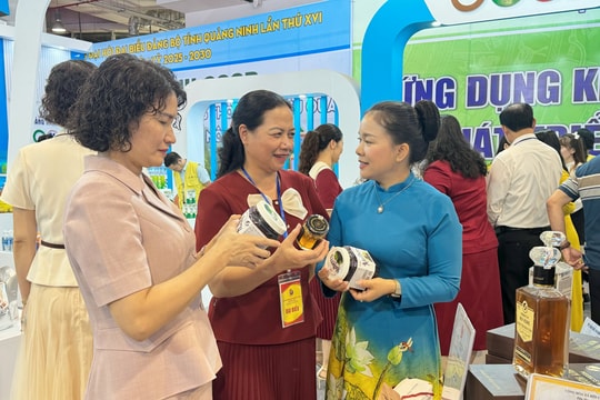 Khai mạc Triển lãm thành tựu kinh tế - xã hội Quảng Ninh