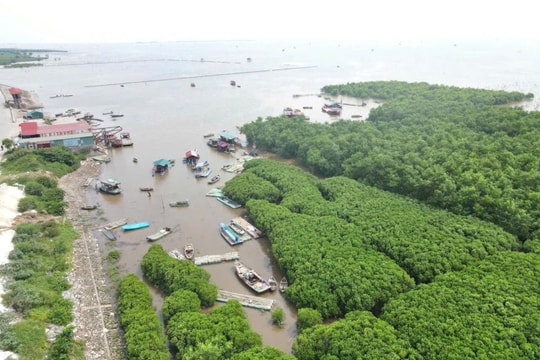 Ninh Bình: Chủ động ứng phó với bão Bualoi gần Biển Đông