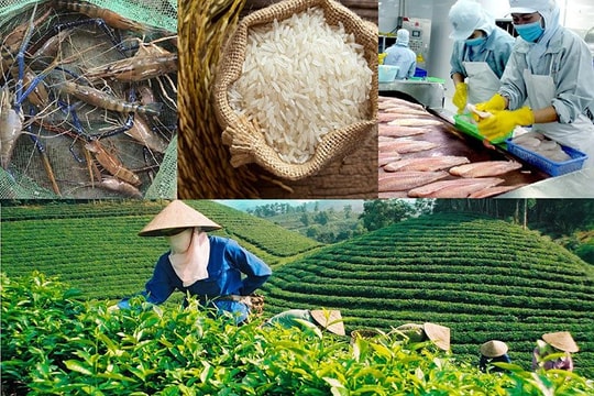 NHNN nâng quy mô tín dụng nông, lâm, thủy sản lên 185.000 tỷ đồng