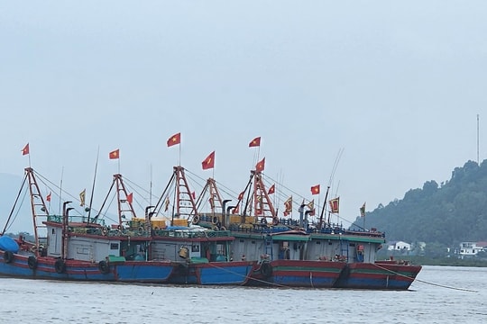 Nghệ An: Cấm tàu thuyền ra khơi để phòng tránh bão số 10