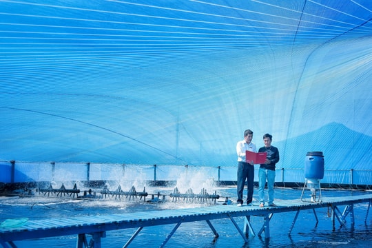 Agribank được vinh danh Ngân hàng tiêu biểu về Tín dụng xanh 2025