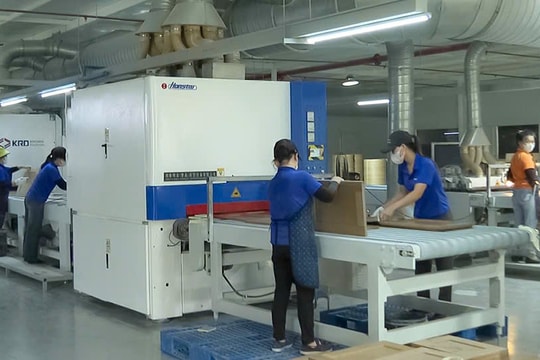 Phát triển kinh tế xanh – Hướng đi tất yếu của Đồng Nai