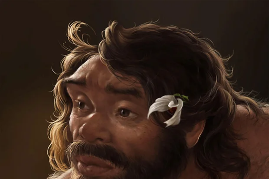 Hộp sọ 1 triệu năm tuổi có thể viết lại lịch sử loài người