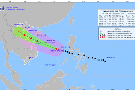 Quảng Ninh triển khai đồng bộ giải pháp ứng phó bão số 10