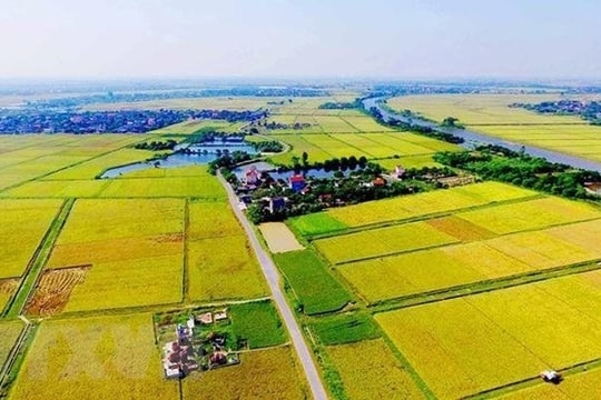 Bỏ quy định chênh lệch tối đa 10% giá trị quỹ đất dự kiến thanh toán cho nhà đầu tư