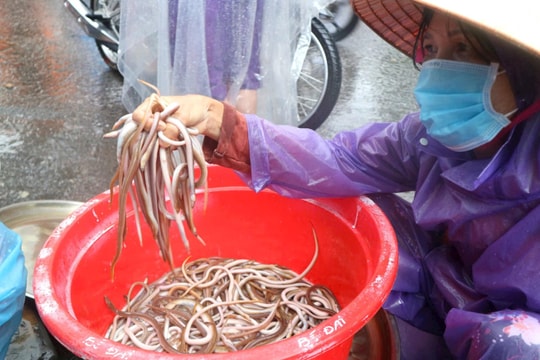 Bão về nhớ món lạch quê xưa