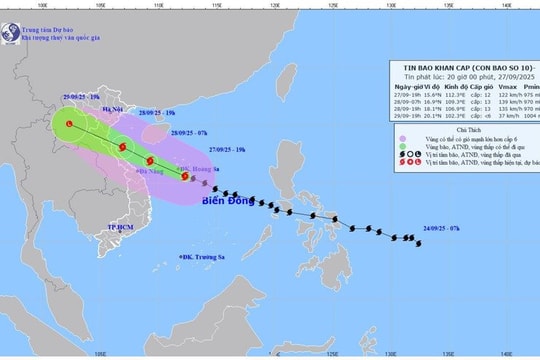Lập Ban chỉ đạo tiền phương tại các tỉnh có tâm bão Bualoi đi qua