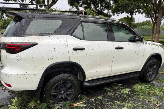 Cây xanh đổ đè ô tô, 6 người mắc kẹt được giải cứu an toàn