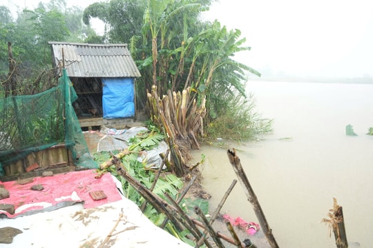 Bộ đội biên phòng và chính quyền kịp thời giúp dân ứng phó bão số 10