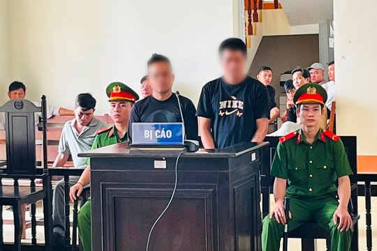 Tổ chức đá gà ăn tiền, hai bị cáo lĩnh án