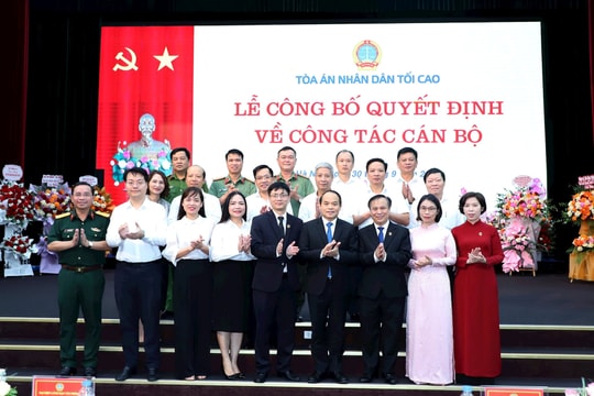 Bổ nhiệm Phó Giám đốc Học viện Tòa án